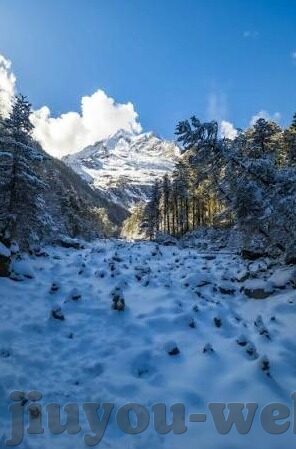雪绿足球比分网-雪绿足球比分网，球迷的实时数据港湾与赛事分析利器