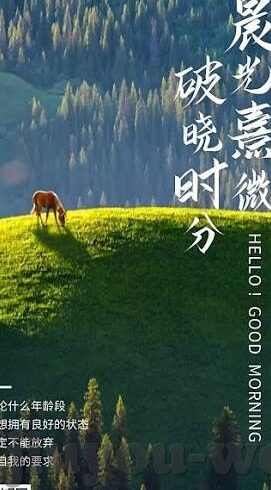 足球比分凯利方差-足球比分凯利方差，洞察赛场背后的数据密码